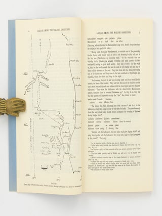 Gadjari among the Walbiri Aborigines of Central Australia
