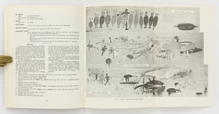 Rock Art of South-East Cape York