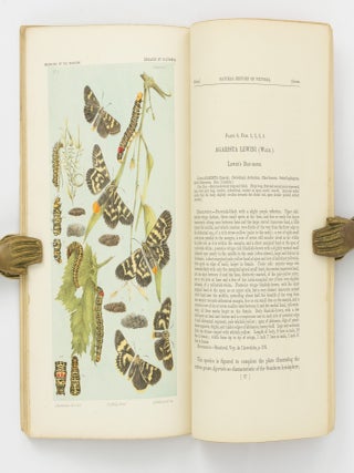 Natural History of Victoria. Prodromus of the Zoology of Victoria; or, Figures and Descriptions of the Living Species of All Classes of the Victorian Indigenous Animals [the complete run of 20 'Decades']