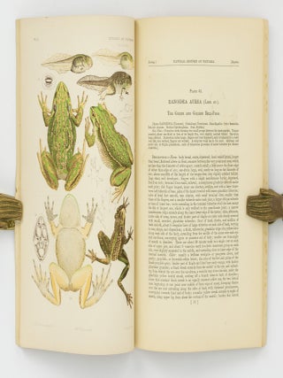Natural History of Victoria. Prodromus of the Zoology of Victoria; or, Figures and Descriptions of the Living Species of All Classes of the Victorian Indigenous Animals [the complete run of 20 'Decades']