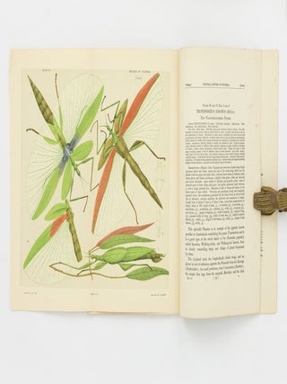 Natural History of Victoria. Prodromus of the Zoology of Victoria; or, Figures and Descriptions of the Living Species of All Classes of the Victorian Indigenous Animals [the complete run of 20 'Decades']