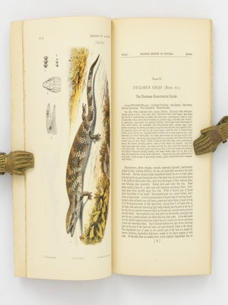 Natural History of Victoria. Prodromus of the Zoology of Victoria; or, Figures and Descriptions of the Living Species of All Classes of the Victorian Indigenous Animals [the complete run of 20 'Decades']