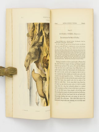 Natural History of Victoria. Prodromus of the Zoology of Victoria; or, Figures and Descriptions of the Living Species of All Classes of the Victorian Indigenous Animals [the complete run of 20 'Decades']