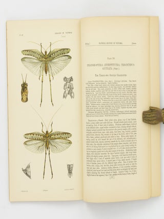 Natural History of Victoria. Prodromus of the Zoology of Victoria; or, Figures and Descriptions of the Living Species of All Classes of the Victorian Indigenous Animals [the complete run of 20 'Decades']