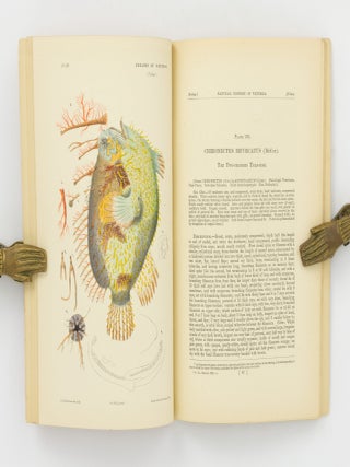 Natural History of Victoria. Prodromus of the Zoology of Victoria; or, Figures and Descriptions of the Living Species of All Classes of the Victorian Indigenous Animals [the complete run of 20 'Decades']