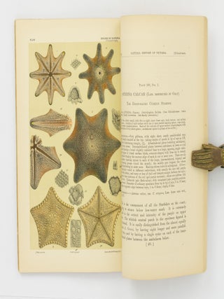 Natural History of Victoria. Prodromus of the Zoology of Victoria; or, Figures and Descriptions of the Living Species of All Classes of the Victorian Indigenous Animals [the complete run of 20 'Decades']