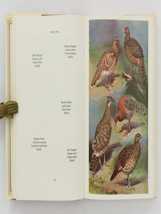 The Pheasants of the World