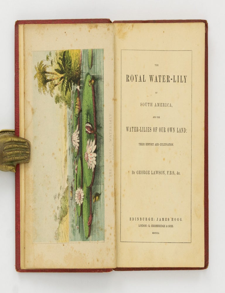 Item #145942 The Royal Water-Lily of South America and the Water-Lilies of our Own Land. Their History and Cultivation. George LAWSON.