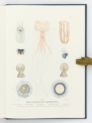 Voyage of Discovery to the Southern Lands by Fran&ccedil;ois P&eacute;ron, continued by Louis de Freycinet. Second Edition, 1824