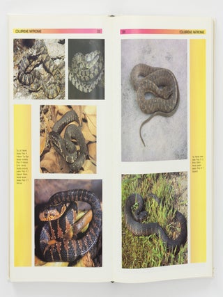 The Atlas of Snakes of the World