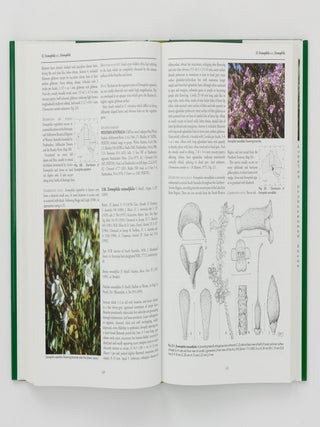 Eremophila and Allied Genera. A Monograph of the Plant Family Myoporaceae