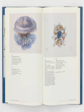 Baudin in Australian Waters. The Artwork of the French Voyage of Discovery to the Southern Lands, 1800-1804. With a complete descriptive catalogue of drawings and paintings of Australian subjects by C.-A. Lesueur and N.-M. Petit from the Lesueur Collection at the Muséum d'Histoire Naturelle, Le Havre, France