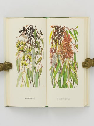 Eucalypts [two volumes]