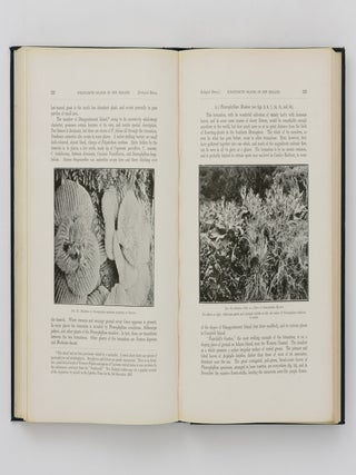 The Subantarctic Islands of New Zealand. Reports on the Geo-Physics, Geology, Zoology, and Botany of the Islands lying to the South of New Zealand, based mainly on Observations and Collections made during an Expedition in the Government Steamer 'Hinemoa' (Captain J. Bollons) in November, 1907