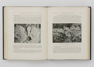 The Subantarctic Islands of New Zealand. Reports on the Geo-Physics, Geology, Zoology, and Botany of the Islands lying to the South of New Zealand, based mainly on Observations and Collections made during an Expedition in the Government Steamer 'Hinemoa' (Captain J. Bollons) in November, 1907