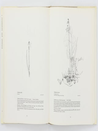 A Year of Orchids