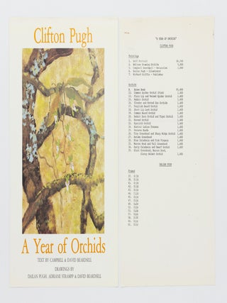 A Year of Orchids