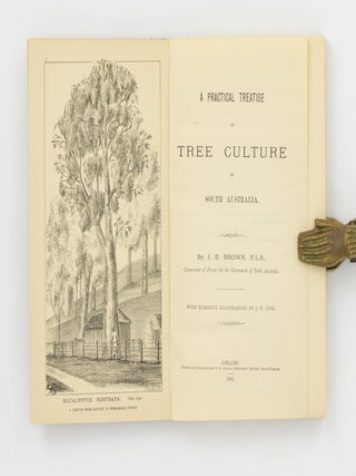 A Practical Treatise on Tree Culture in South Australia