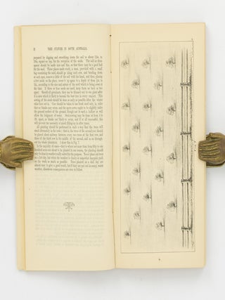 A Practical Treatise on Tree Culture in South Australia