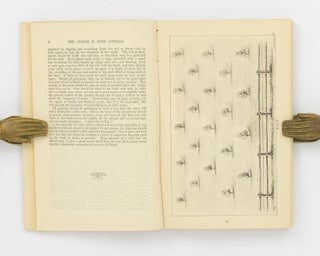 A Practical Treatise on Tree Culture in South Australia