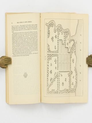 A Practical Treatise on Tree Culture in South Australia