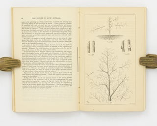 A Practical Treatise on Tree Culture in South Australia