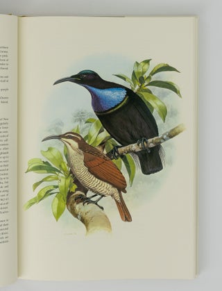 The Birds of Paradise and Bower Birds