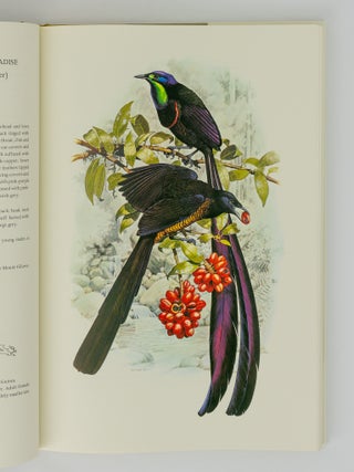 The Birds of Paradise and Bower Birds