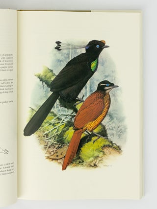 The Birds of Paradise and Bower Birds