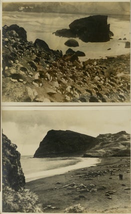 A group of ten photographs from Sir Douglas Mawson's British, Australian and New Zealand Antarctic Research Expedition (BANZARE), 1929-1931