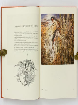 The Dreamtime Book. Australian Aboriginal Myths in Paintings by Ainslie Roberts and Text by ...