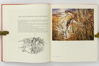 The Dreamtime Book. Australian Aboriginal Myths in Paintings by Ainslie Roberts and Text by ...