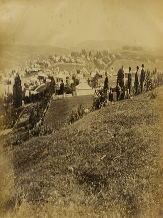 A large four-panel photographic panorama of Dunedin, Otago, New Zealand