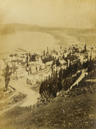 A large four-panel photographic panorama of Dunedin, Otago, New Zealand