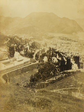 A large four-panel photographic panorama of Dunedin, Otago, New Zealand
