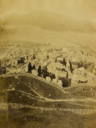 A large four-panel photographic panorama of Dunedin, Otago, New Zealand