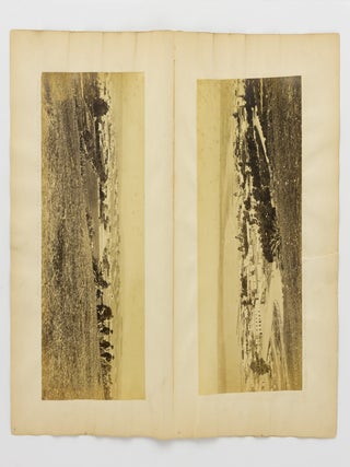 A large four-panel photographic panorama of Dunedin, Otago, New Zealand
