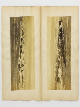 A large four-panel photographic panorama of Dunedin, Otago, New Zealand