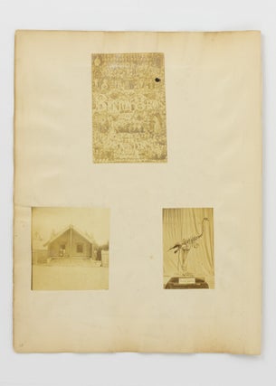 A large four-panel photographic panorama of Dunedin, Otago, New Zealand