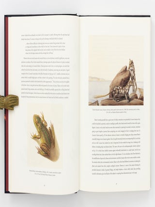 The Encounter, 1802. Art of the Flinders and Baudin Voyages