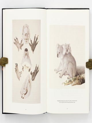 The Encounter, 1802. Art of the Flinders and Baudin Voyages