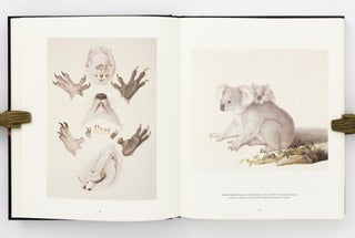 The Encounter, 1802. Art of the Flinders and Baudin Voyages