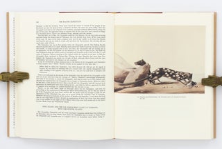 The Baudin Expedition and the Tasmanian Aborigines, 1802