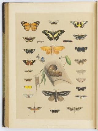 South Australia Illustrated
