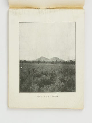 The Gawler Ranges. An Ornithological Expedition