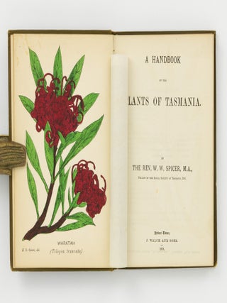 A Handbook of the Plants of Tasmania