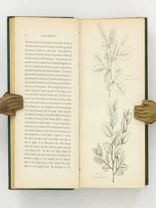 Notes on the Natural History of the Strait of Magellan and West Coast of Patagonia, made during the Voyage of H.M.S. 'Nassau' in the Years 1866, 67, 68, & 69