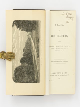 A Manual of the Coniferae, containing a General Review of the Order; a Synopsis of the Hardy Kinds cultivated in Great Britain; their Place and Use in Horticulture ...