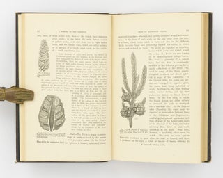 A Manual of the Coniferae, containing a General Review of the Order; a Synopsis of the Hardy Kinds cultivated in Great Britain; their Place and Use in Horticulture ...