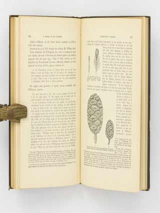 A Manual of the Coniferae, containing a General Review of the Order; a Synopsis of the Hardy Kinds cultivated in Great Britain; their Place and Use in Horticulture ...